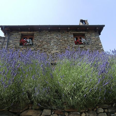 Hotel Agriturismo La Fontana Dell'Olmo Molini di Triora Exteriér fotografie