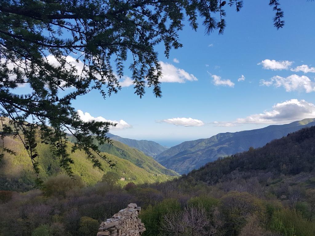 Hotel Agriturismo La Fontana Dell'Olmo Molini di Triora Exteriér fotografie